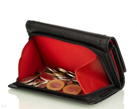 Portfel damski skórzany Canaletto P-1225/P10