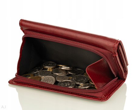 Portfel damski skórzany GB P-40 bordowy