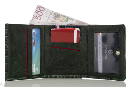 Portfel damski skórzany Canaletto P-2003 zielony kroko