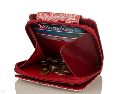 Portfel damski skórzany BajuBaj P-1026133