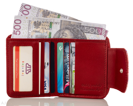 Portfel damski skórzany BajuBaj P-1026133