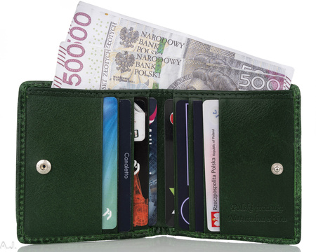 Portfel skórzany z kominkiem Canaletto P-1008257 RFID