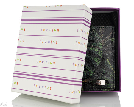 Portfelik damski skórzany Canaletto P-1031/161