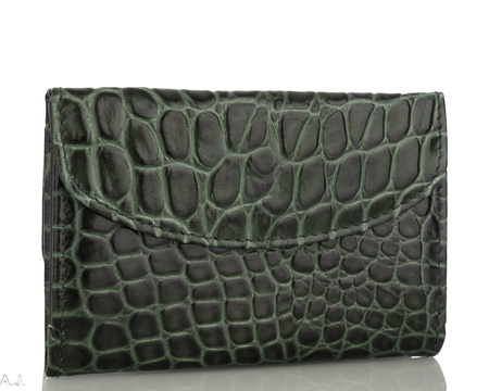 Portfel damski skórzany Canaletto P-1201 zielony