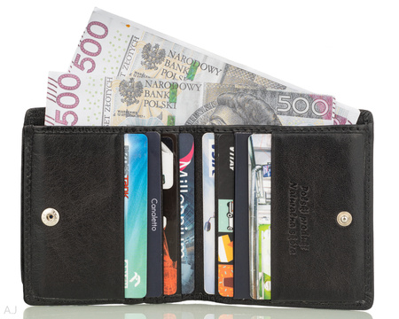 Portfel skórzany z kominkiem Canaletto P-1008 czarny