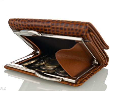 Portfel damski skórzany Canaletto P-2000 kroko brąz