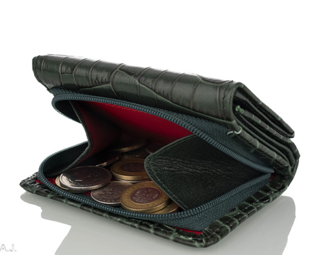 Portfel damski skórzany Canaletto P-2003 zielony kroko