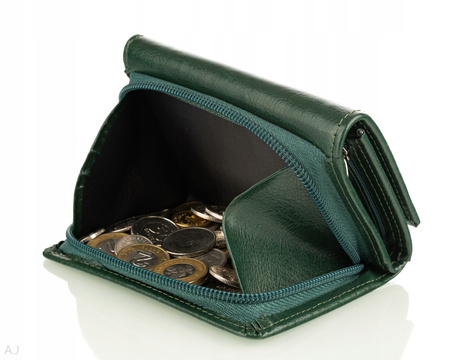 Portfel damski skórzany GB P-40 zielony