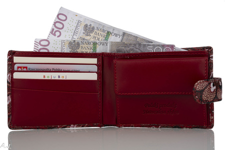 Portfel damski skórzany P-1067167
